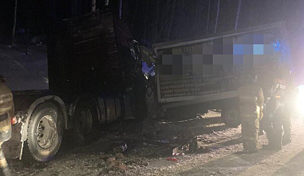 На трассе в Новосибирской области водитель «ГАЗ» погиб при столкновении грузовиков