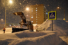 Снегопад принес в Москву пятую часть месячной нормы осадков