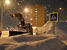 Снегопад принес в Москву пятую часть месячной нормы осадков