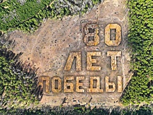 В Зауралье 20 тысяч хвойных саженцев высадили в форме надписи "80 лет Победы"