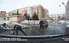 В Томской области школьница чуть не утонула в луже. Видео