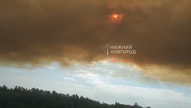 Власти закрытого города Саров в Нижегородской области ввели режим ЧС из-за лесного пожара