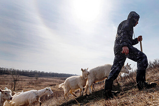 Чем соцконтракт отличается от социальных пособий и кому он поможет