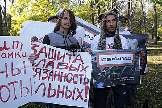 В Краснодаре протестуют против негуманного отношения к животным