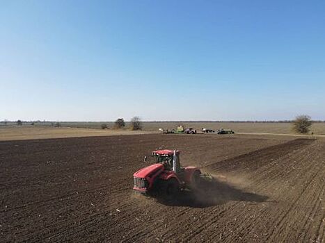 В Крыму под урожай 2022 года засеяно более 340 тысяч гектаров озимых зерновых