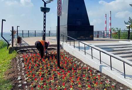 Более 500 тысяч цветов появились на клумбах в Кемерове с начала сезона