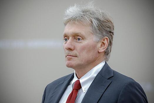 Песков: Путин примет в Кремле Памфилову по итогам выборов