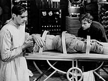 ТОП-10 удивительных фактов о генетике