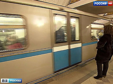На серой ветке метро произошел сбой из-за пассажира