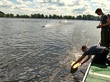 В регионе стартовали соревнования по судомодельному спорту