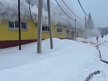 Производственное здание загорелось в Подмосковье на площади почти 4 тыс "квадратов"