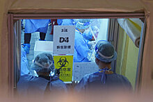 Биолог оценила опасность нового найденного в Китае вируса «Ланъя»