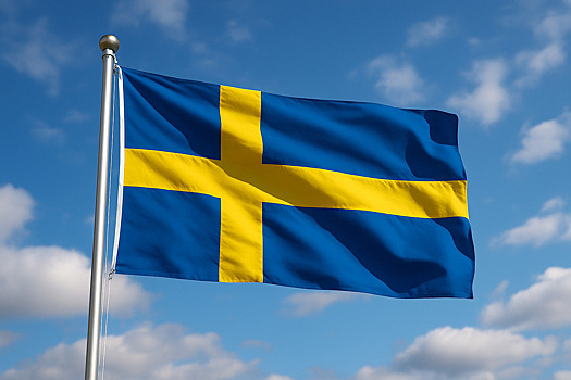 Стало известно, сколько страна ЕС вложит в усиление противовоздушной обороны