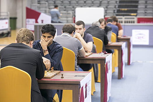 Хорвасткий шахматист Шарич выиграл чемпионат Европы
