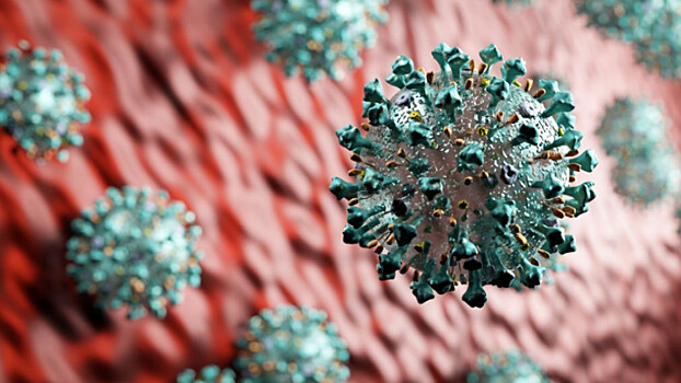 Активному распространению коронавирусной инфекции способствуют старость и ожирение
