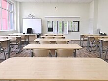 В Минпросвещения заявили, что говорить о досрочном окончании учебного года в школах рано