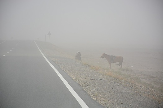 Песчаная буря унесла минимум 6 жизней в Монголии