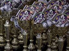 «Территория спорта. День за Днем». BIG PITER SPORT SHOW