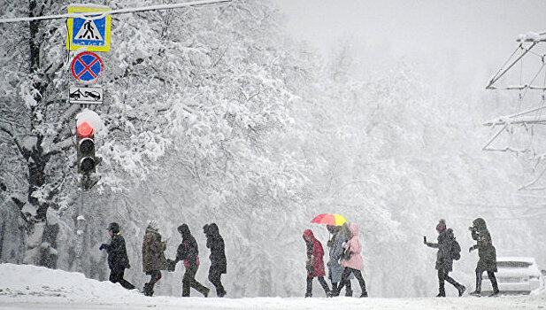 В СПЧ предложили московским властям ряд мер для помощи "жертвам снегопада"