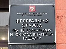 Россельхознадзор планирует проверить животноводческие предприятия Венгрии