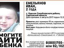 В селе на границе с Воронежской областью исчез 2-летний малыш