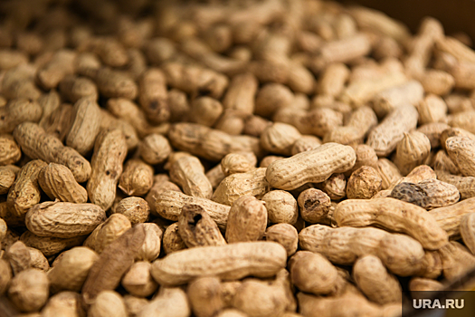 На курганской границе перехвачены десятки тонн китайских орехов