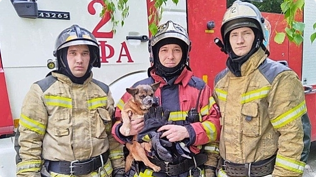 В Уфе пожарные спасли Хасбика из горящей квартиры
