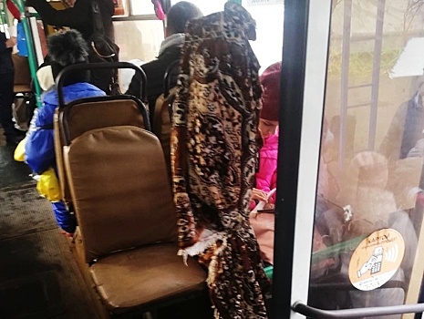 Валидатор в пледе заинтересовал дзержинцев