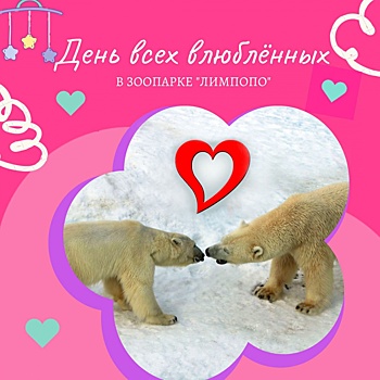 Влюбленные смогут пройти по одному билету в нижегородский зоопарк 14 февраля