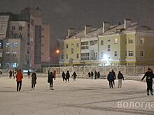 Учащиеся Вологды бесплатно покатаются на коньках в спортивную студенческую ночь