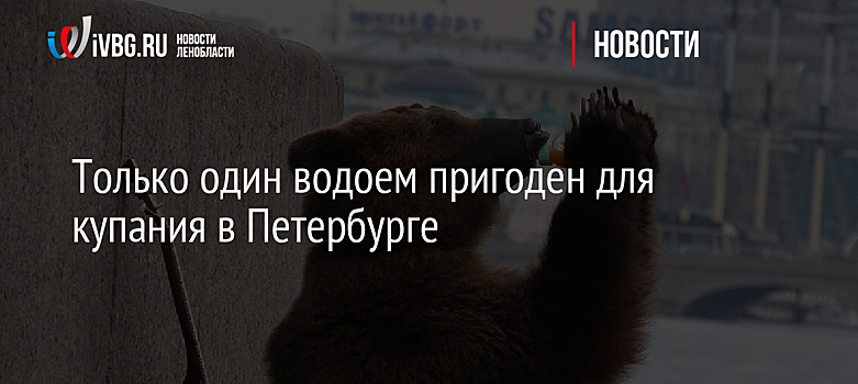 Только один водоем пригоден для купания в Петербурге