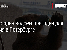 Только один водоем пригоден для купания в Петербурге