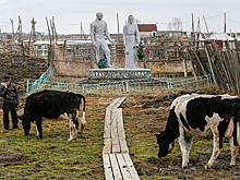«Страна пустеет изнутри»