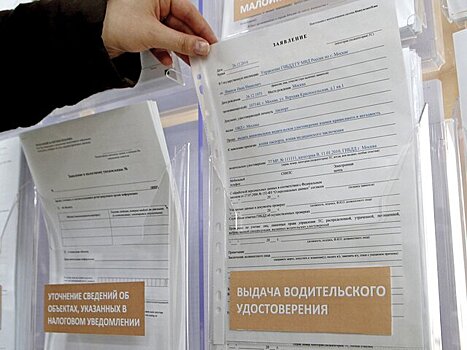 Эксперт Хайцеэр: электронные реестры медсправок для водителей помогут избежать подделок