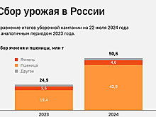 Российские аграрии в 2024 году уже собрали вдвое больше зерновых