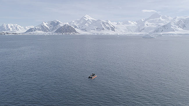Эксперт Козачек спрогнозировала, когда растает "ледник Судного дня"