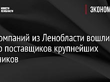 189 компаний из Ленобласти вошли в реестр поставщиков крупнейших заказчиков
