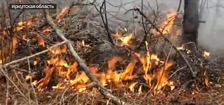 Из лагеря под Улан-Удэ эвакуировали всех детей из-за лесного пожара