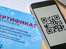 QR-коды для посещения учреждений культуры и ресторанов отменят в Петербурге