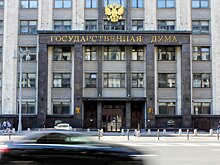 Чем запомнились в 2024 году депутаты Госдумы от Подмосковья?