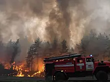 Появилось видео крупного лесного пожара в Бурятии