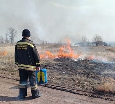 В Донецке приступили к контролируемому выжиганию растительности