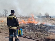 В Донецке приступили к контролируемому выжиганию растительности