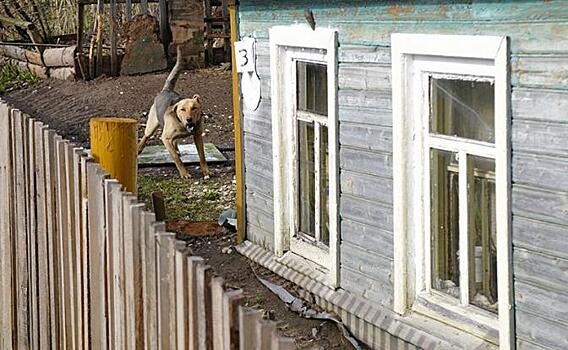 В Союзе дачников Подмосковья объяснили, как продать часть дачного участка
