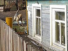 В Союзе дачников Подмосковья объяснили, как продать часть дачного участка