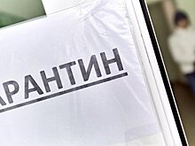 Сотрудники семи социальных приютов в Башкирии заразились коронавирусом