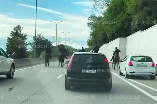 В Сочи задержали всадников, которые заблокировали движение на шоссе