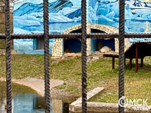 Царица Арктики празднует годовщину переезда в Большереченский зоопарк