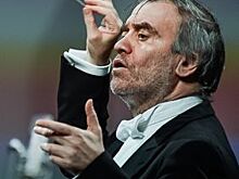 Валерий Гергиев достраивает концертный зал в Репино