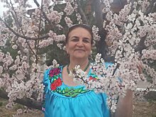 Каримова: молодежь Таджикистана заинтересована в российском образовании